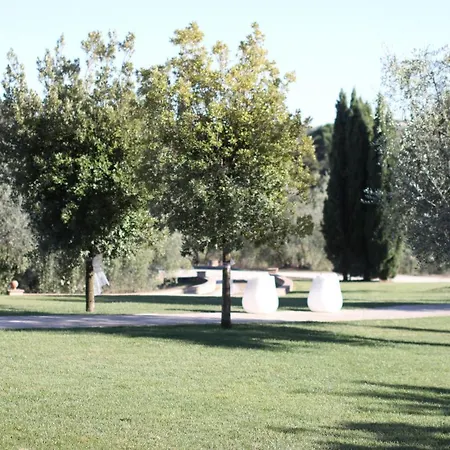 Agroturismo Colleoli Palaia