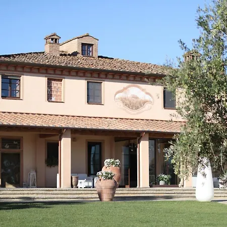 Colleoli * Palaia